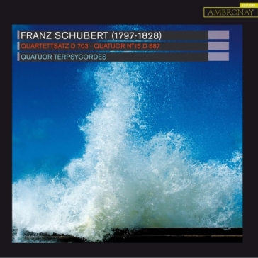Quartetto per archi n.15 d 887, quartett