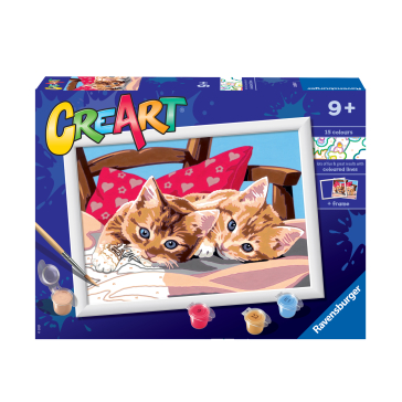 Cre Art Gattini sul cuscino
