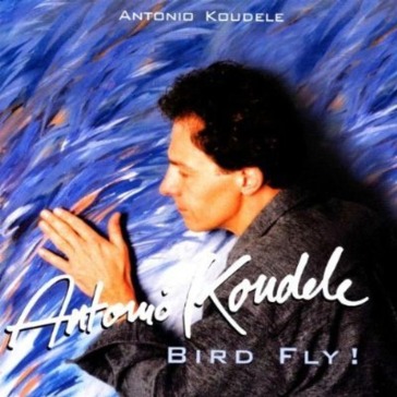 Bird fly