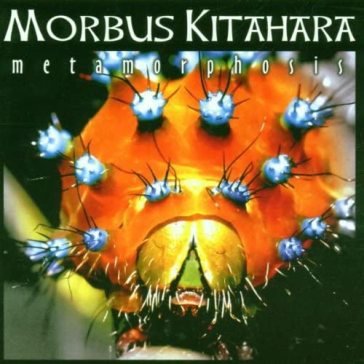 Metamorphosis