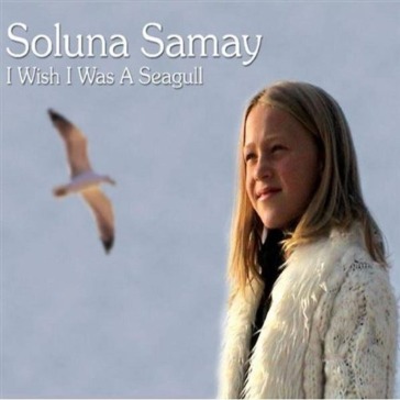 I wish i was a seagull
