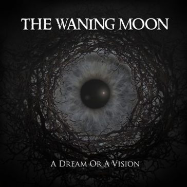 A dream or a vision