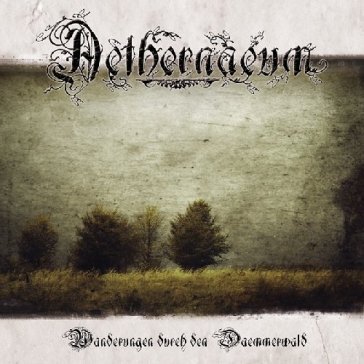 Wanderungen durch den daemmerwald