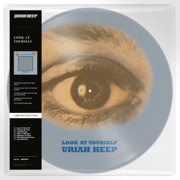Look at yourself (vinyl picture)