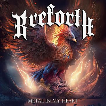 Metal in my heart