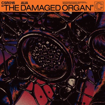 The damaged organ