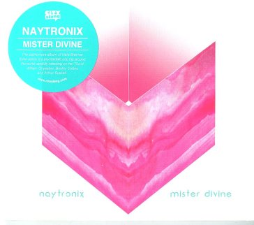 Mister divine