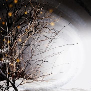 Winterlight