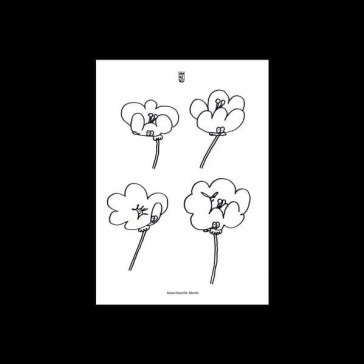 Poppies