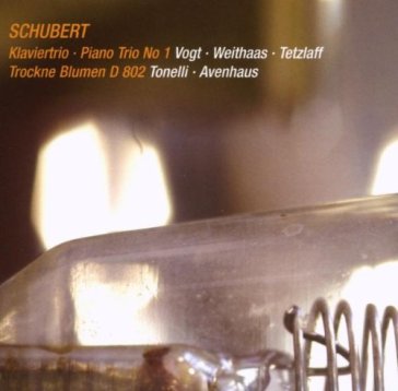 Piano trio no. 1/trockne blumen d802