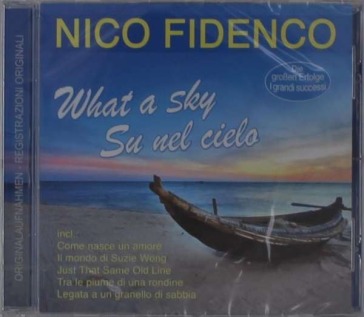What a sky - su nel cielo