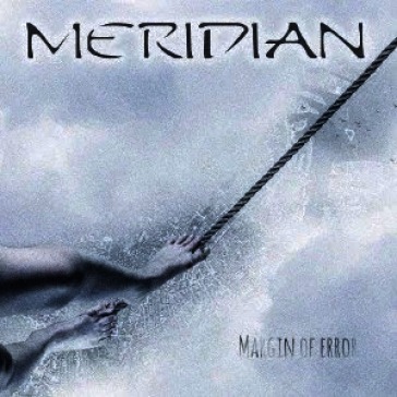 Margin of error (imported edition)