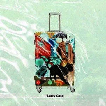 Carry case (paper sleeve)