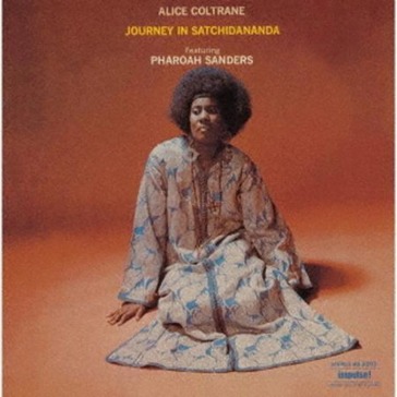 Journey in satchidananda
