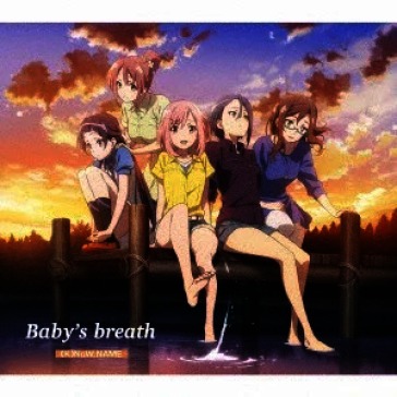 Baby`s breath (sleeve case)