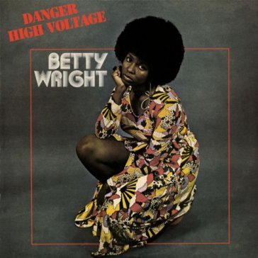 Danger high voltage