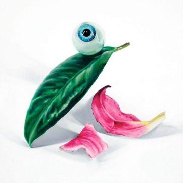 Petals have fallen