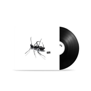 Indi (vinile nero)