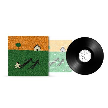 Calcinacci (vinile standard)