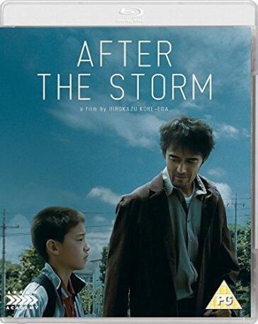 After The Storm [Edizione: Regno Unito]