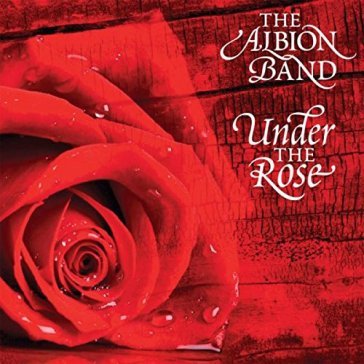 Under the rose