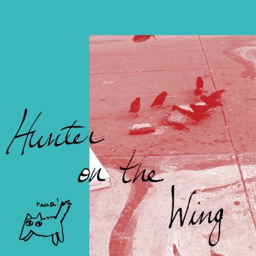 Hunter on the wing