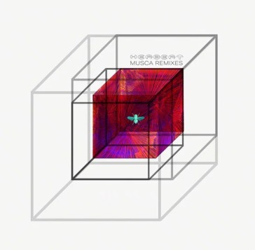 Musca remixes