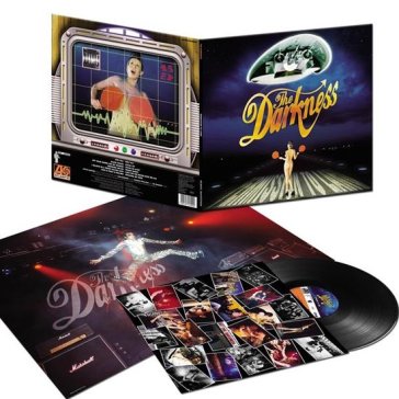 Permission to land vinile
