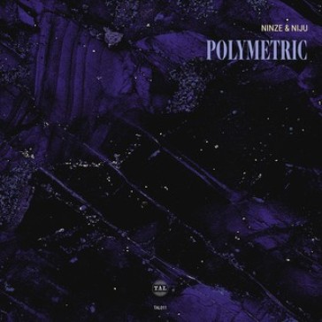 Polymetric (12" ep)
