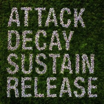 Attack decay sustain release-ltd