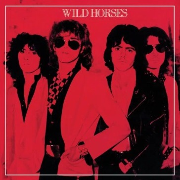Wild horses