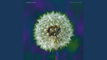 Tepid peppermint wonderland volume 2