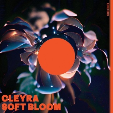 Soft bloom