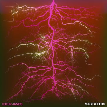 Magic seeds
