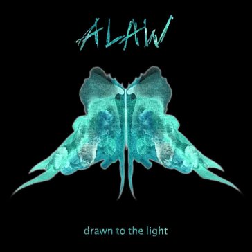 Drawn to the light