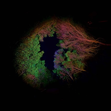 Hidden island music (untitled 398)