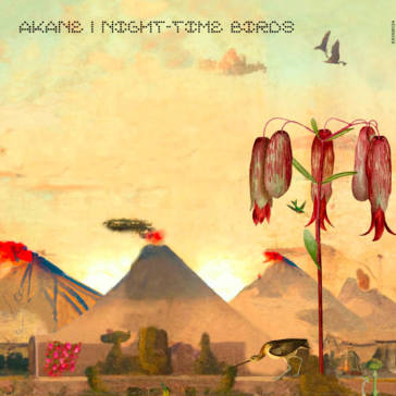 Nigh-time birds
