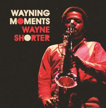 Wayning moments (12")