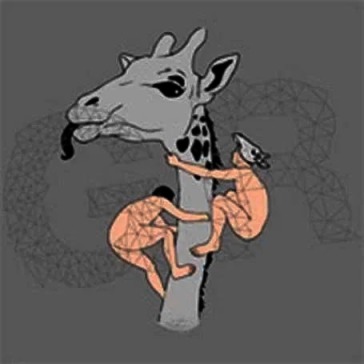 Giraffe running