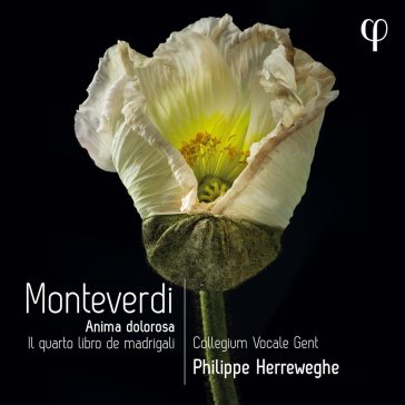 Monteverdi il quarto libro de madrigali