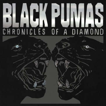 Chronicles of a diamond (deluxe edt. lim