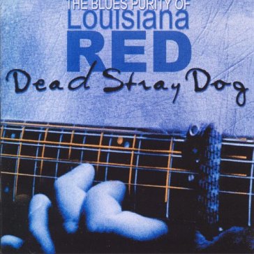 Dead stray dog