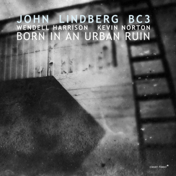 Born in a urban ruin