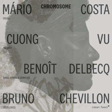 Chromossome