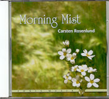 Morning mist