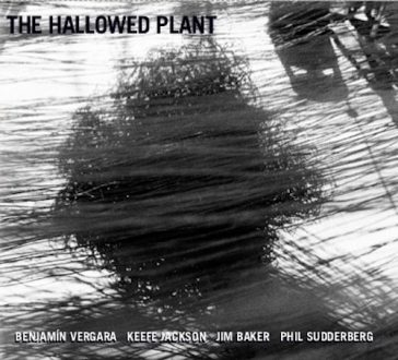 Hallowed plant