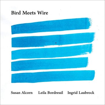 Bird meets wire