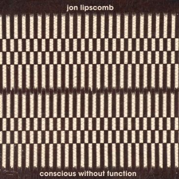 Conscious without function