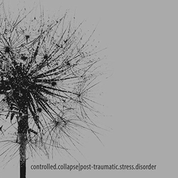 Post-traumatic stress disorder