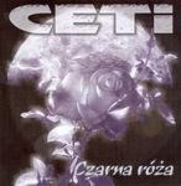Czarna roza